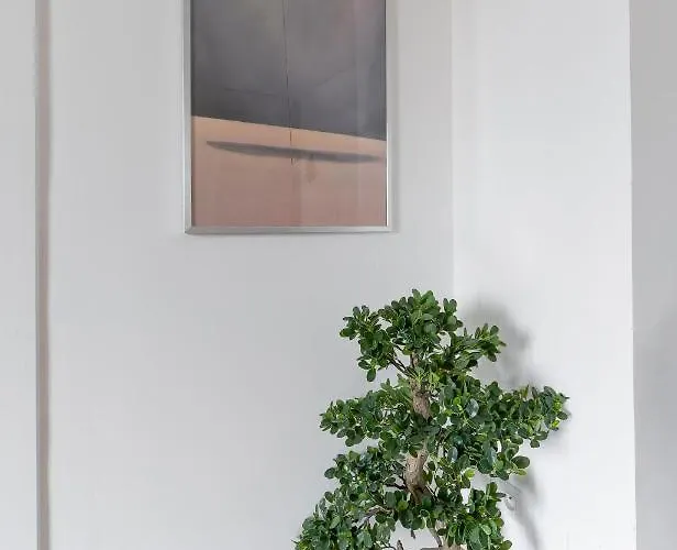 Design La Petite Europe - Ideal Curistes * Виши